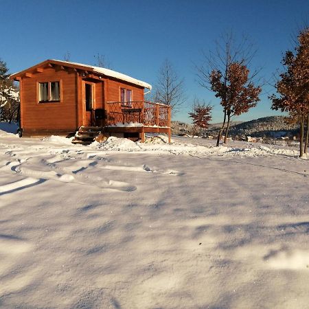 Le Chalet Des Etoiles Champagnac-le-Vieux エクステリア 写真