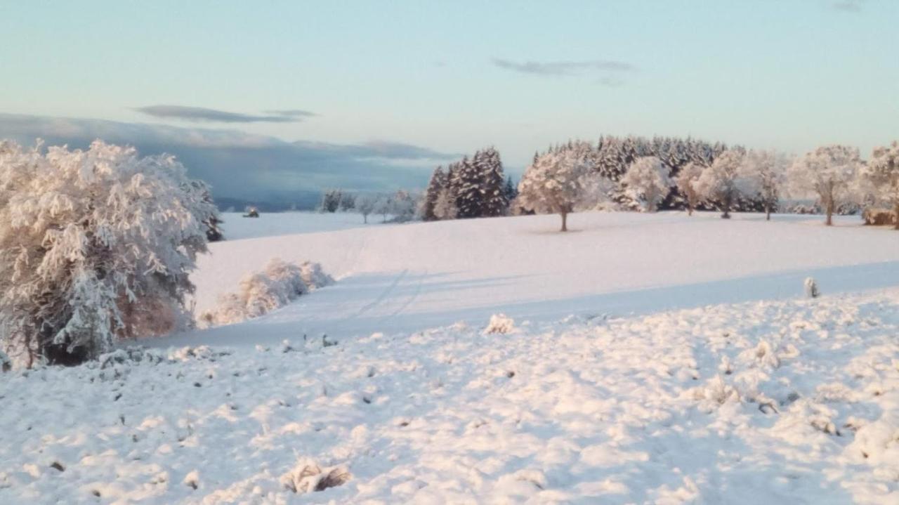 Le Chalet Des Etoiles Champagnac-le-Vieux エクステリア 写真